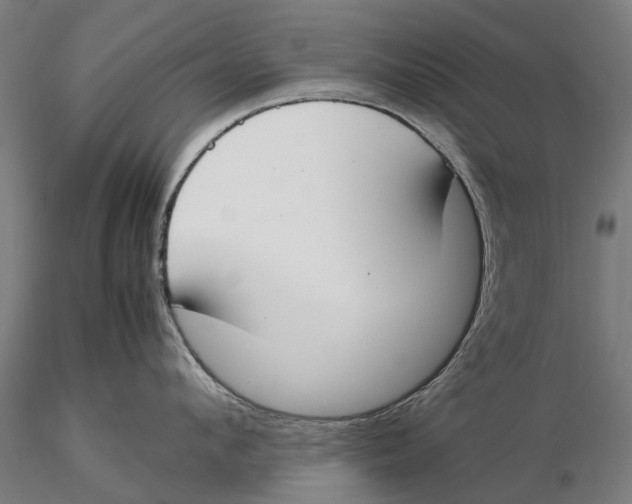 X0000115500912200912041035