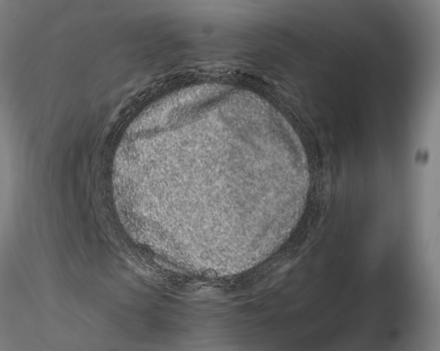 X0000115500913200912041034
