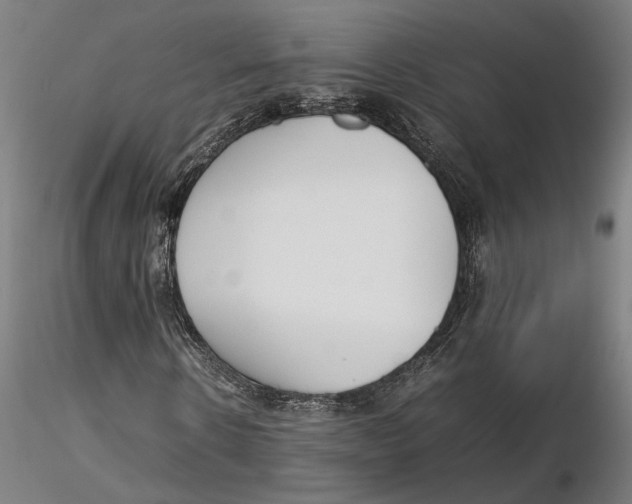 X0000115500914200912041034