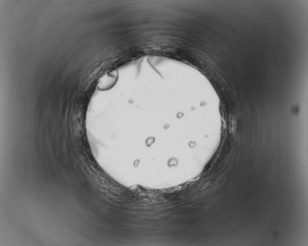 X0000115500915200912041034