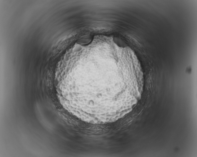X0000115500917200912041034