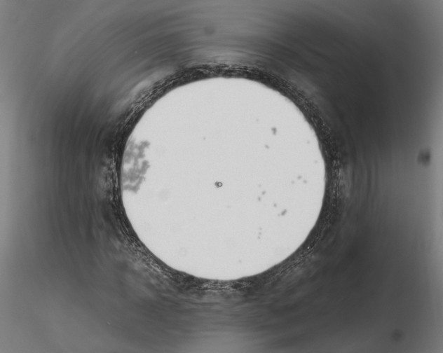 X0000115500918200912041034