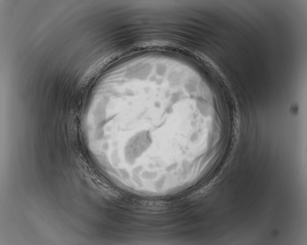 X0000115500921200912041034