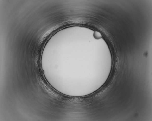 X0000115500922200912041034