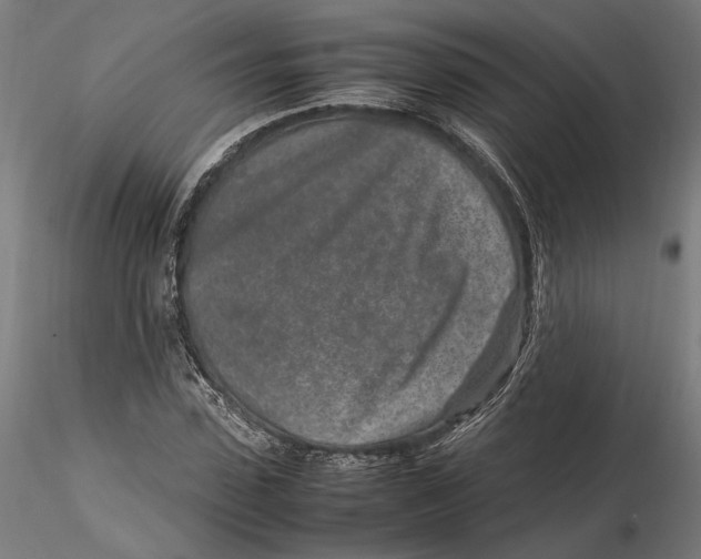 X0000115500923200912041034