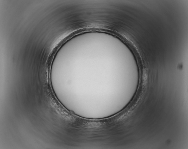 X0000115500925200912041035