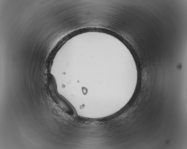 X0000115500926200912041035