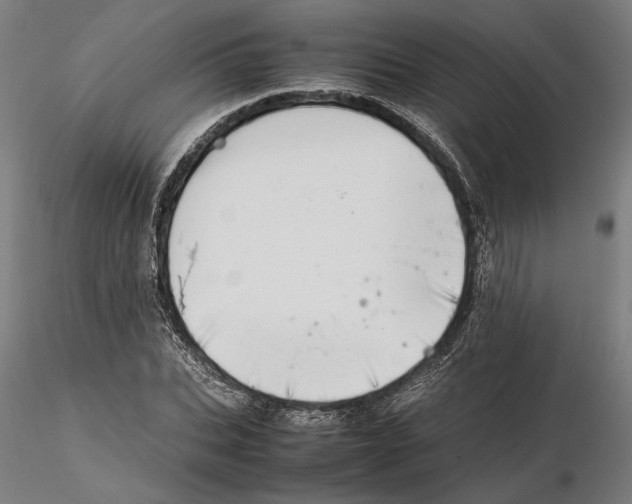 X0000115500927200912041035