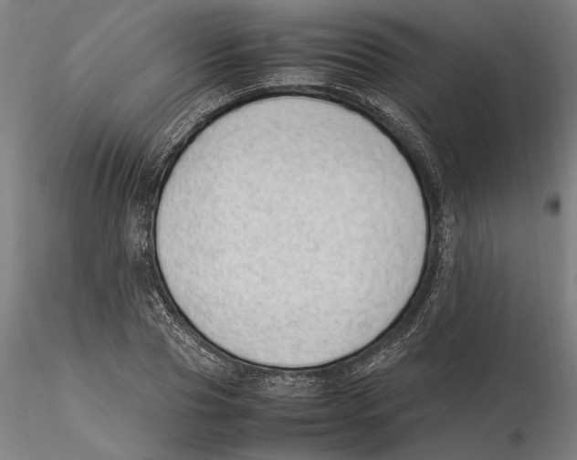 X0000115500929200912041035