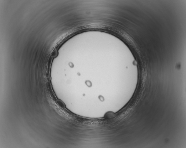 X0000115500930200912041035