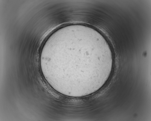 X0000115500933200912041035