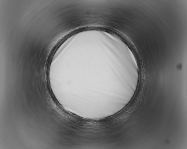 X0000115500935200912041035