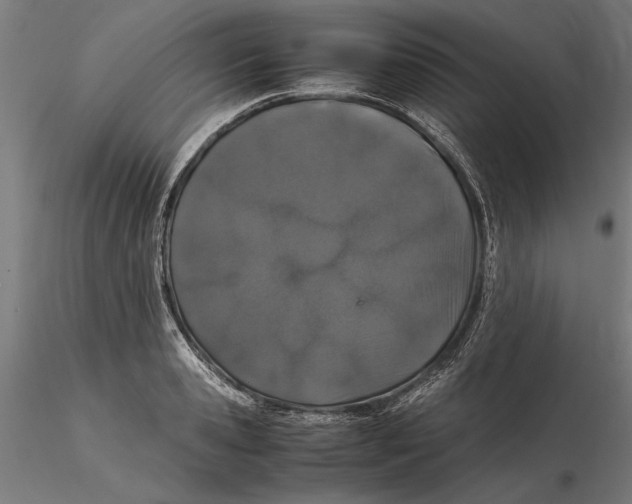 X0000115500941200912041035