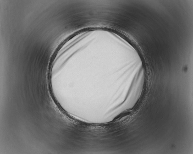 X0000115500943200912041035