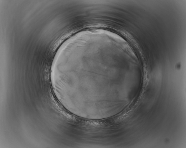 X0000115500945200912041035