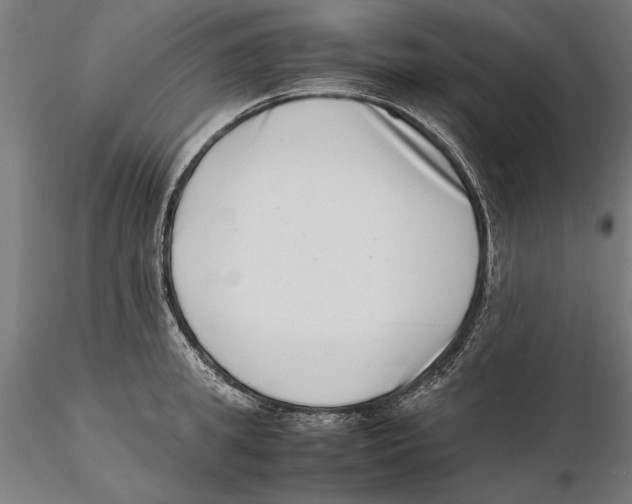 X0000115500949200912041035