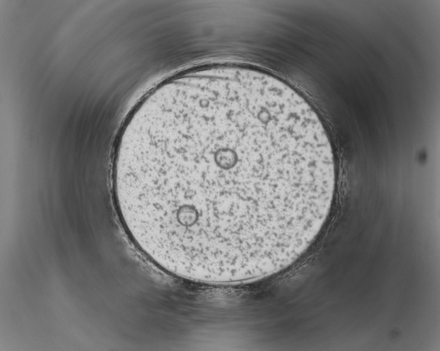 X0000115500950200912041035