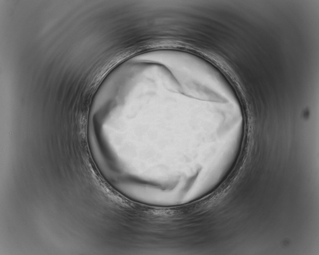 X0000115500953200912041035