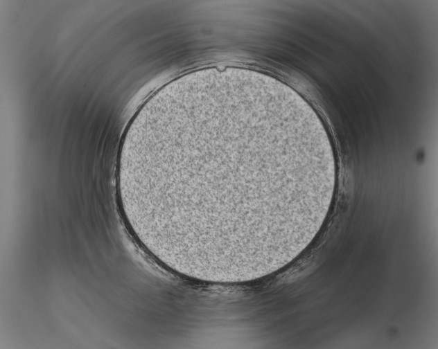 X0000115500954200912041035