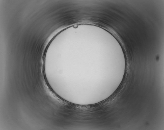 X0000115500955200912041035