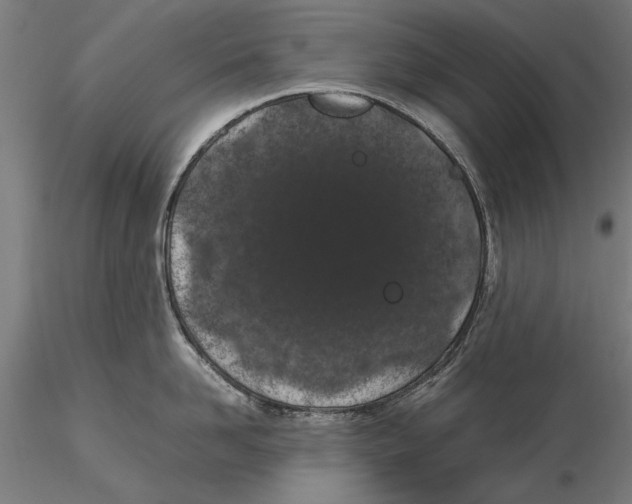 X0000115500958200912041035