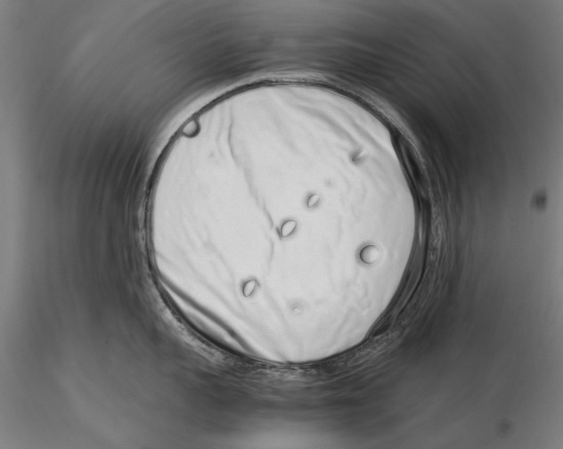 X0000115500959200912041035