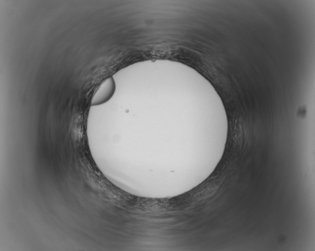 X0000115500962200912041034