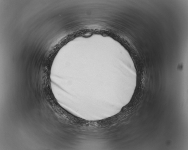 X0000115500968200912041034