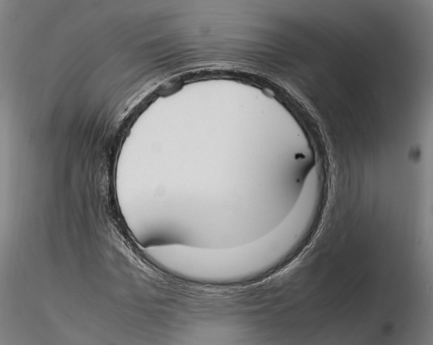 X0000115500969200912041034