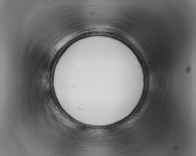 X0000115500970200912041034