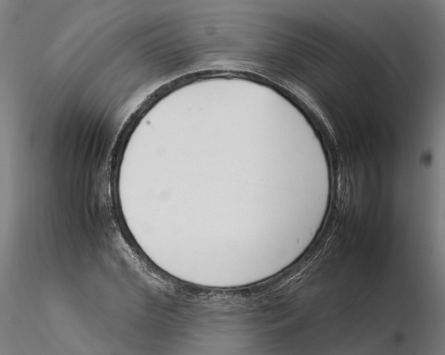 X0000115500972200912041034