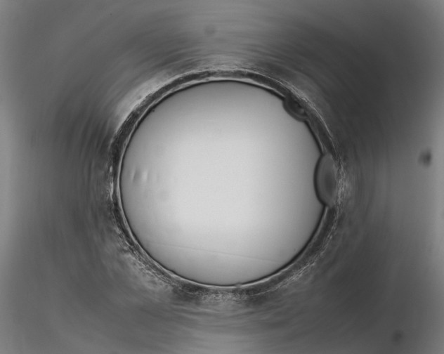 X0000115500973200912041034
