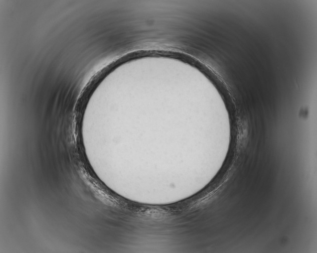 X0000115500974200912041034
