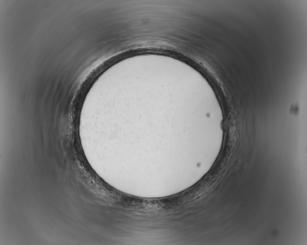 X0000115500975200912041034