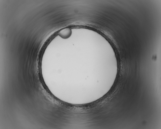 X0000115500976200912041034