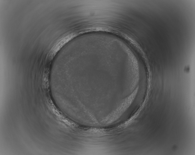 X0000115500977200912041034