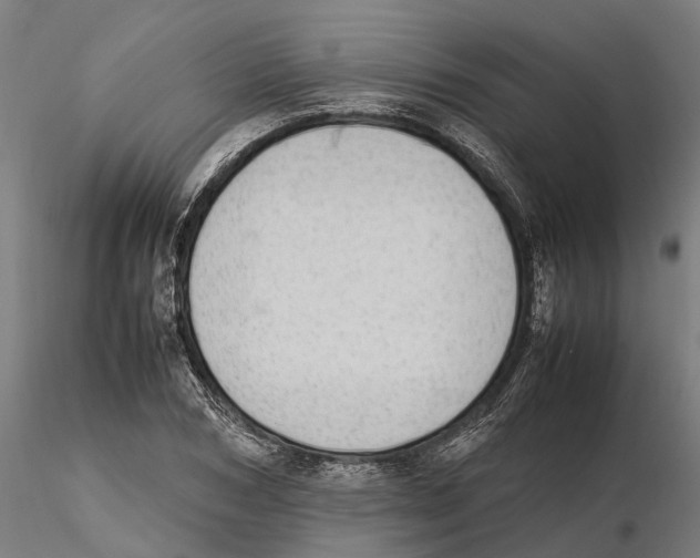 X0000115500978200912041034