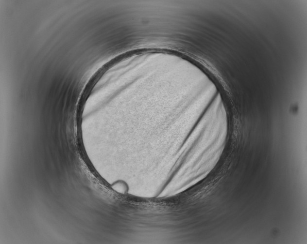 X0000115500980200912041034