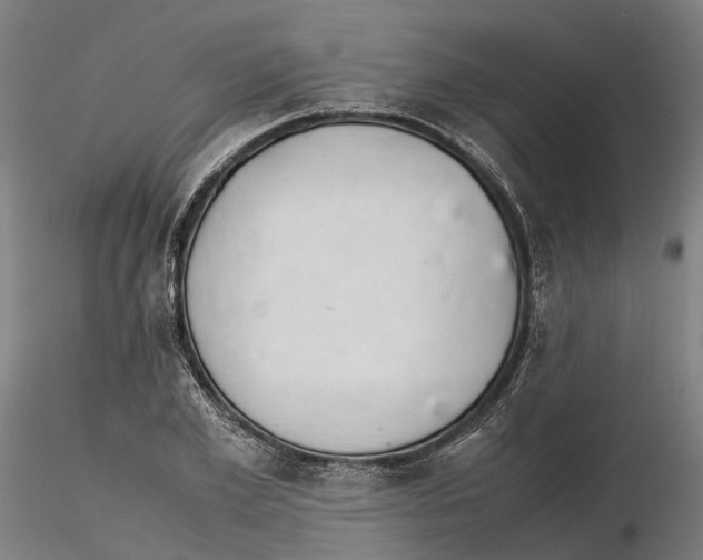 X0000115500981200912041034
