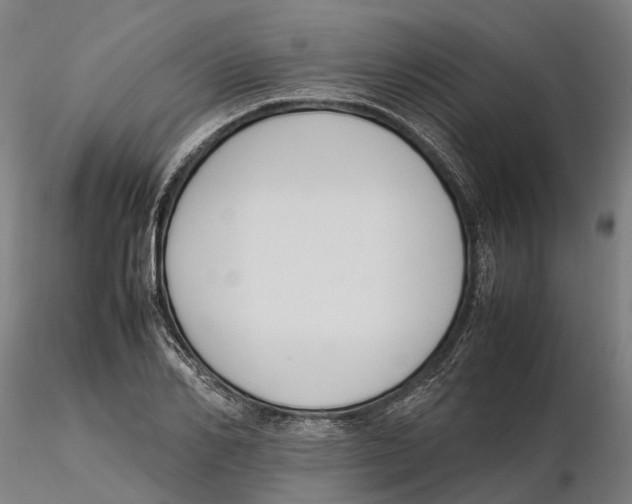 X0000115500982200912041034