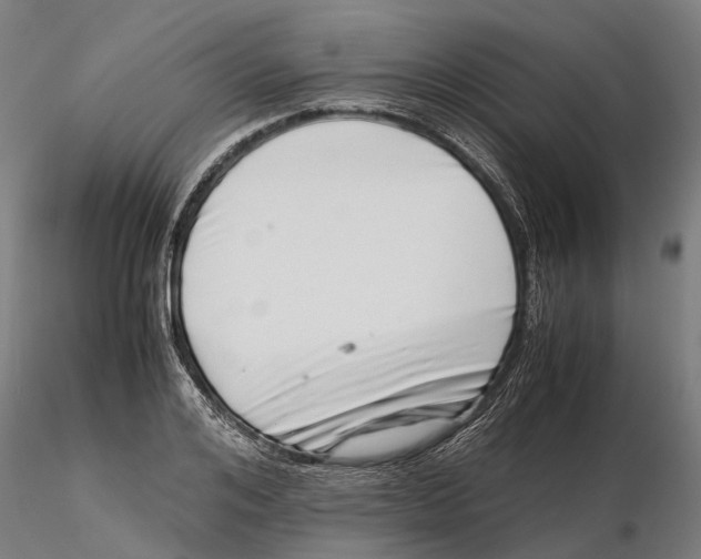 X0000115500984200912041034