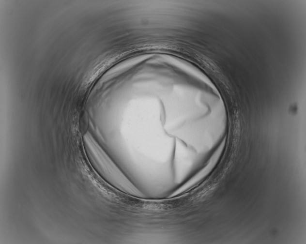 X0000115500985200912041034
