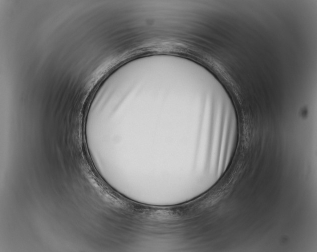 X0000115500986200912041034