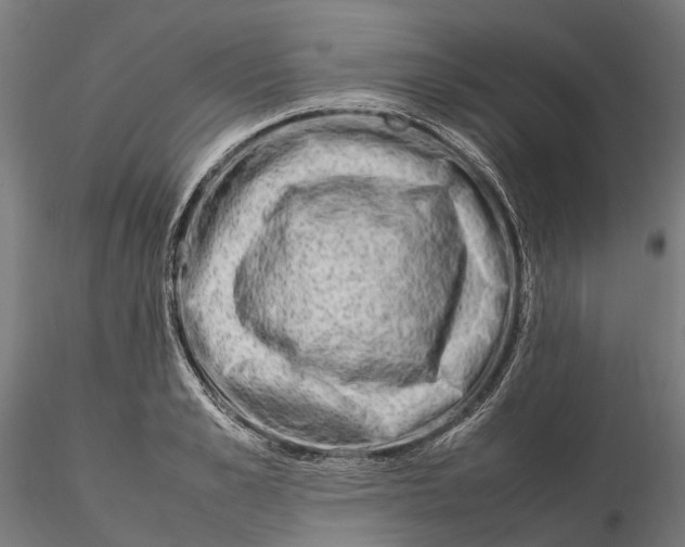 X0000115500989200912041034