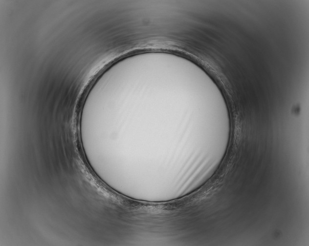 X0000115500990200912041034