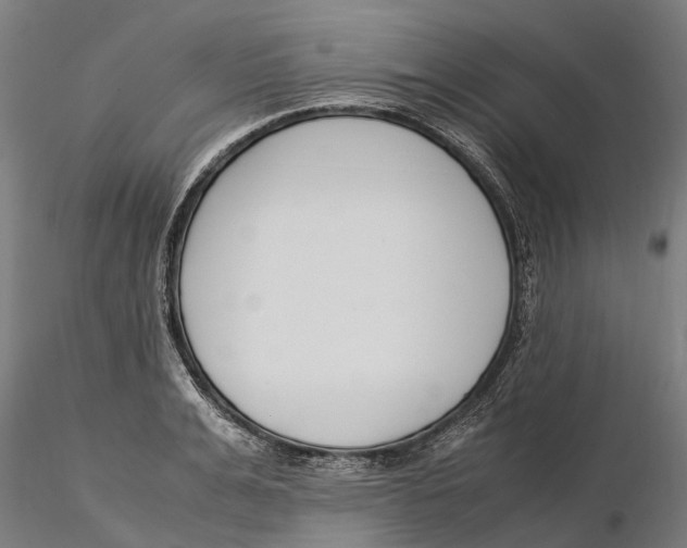 X0000115500991200912041034