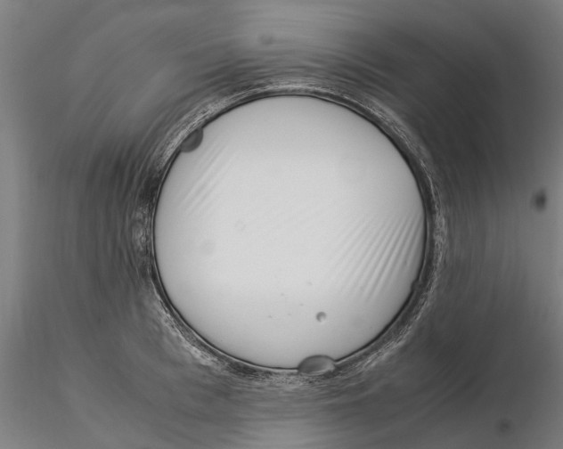 X0000115500993200912041034