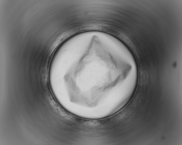 X0000115500994200912041034