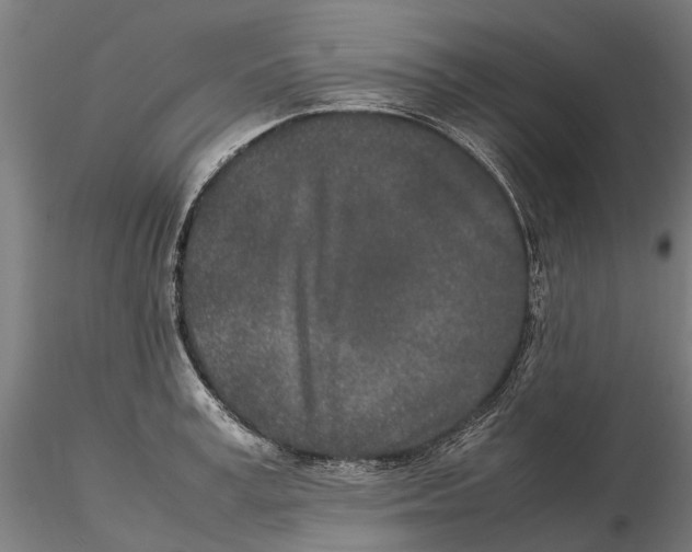 X0000115500995200912041034