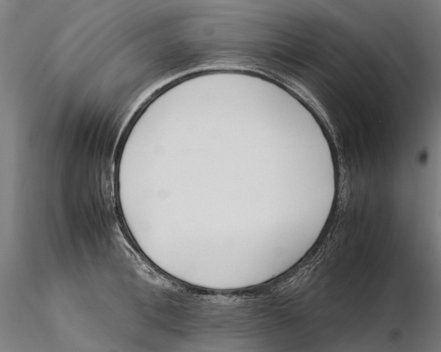 X0000115500996200912041034
